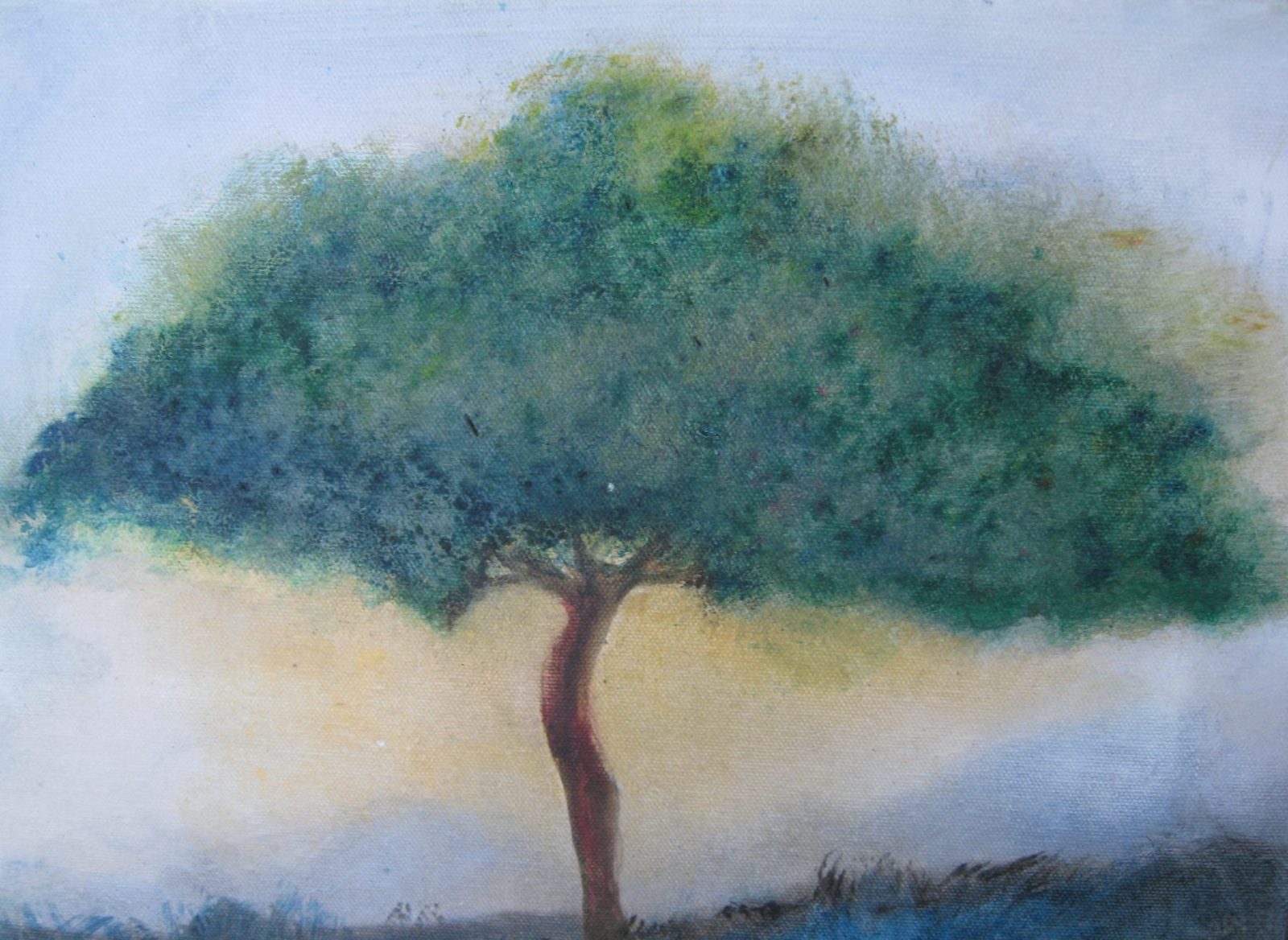 A single tree with a full green canopy standing alone against a pale, misty ground.